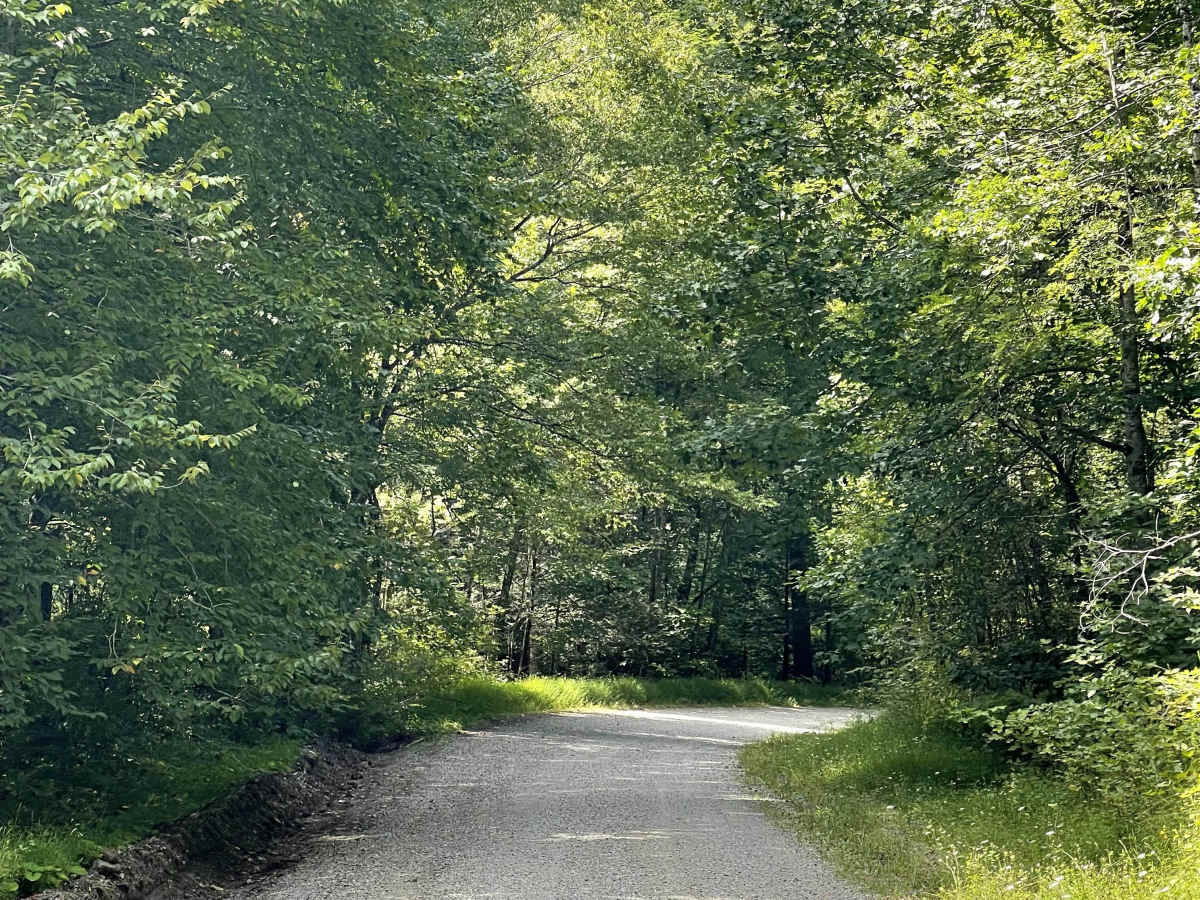 White Rocks Campground photo 4