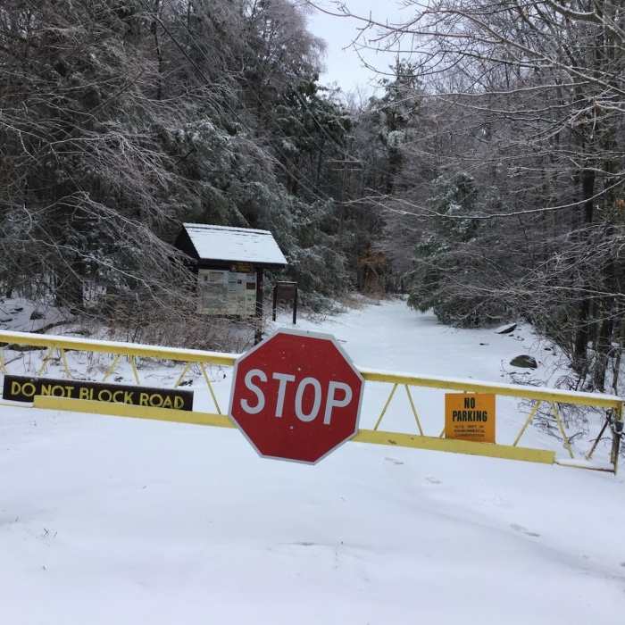 Near Overlook Mountain Trail