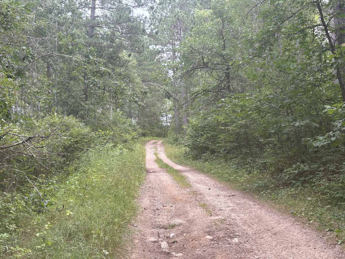 Forest Road 0404 photo 2