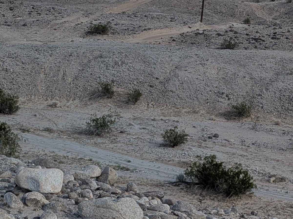 North Superstition Mountain - BLM 196 West photo 5
