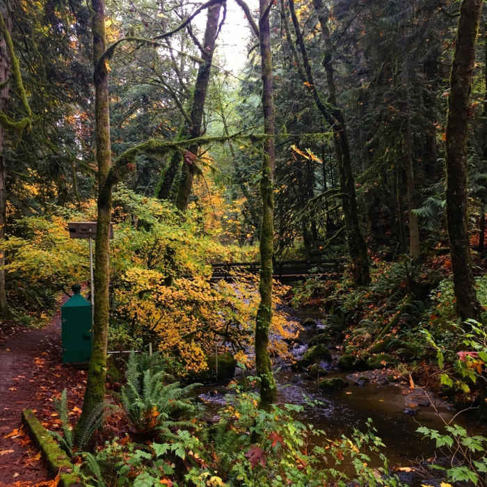 Near A Chuckanut Classic via Raptor Ridge