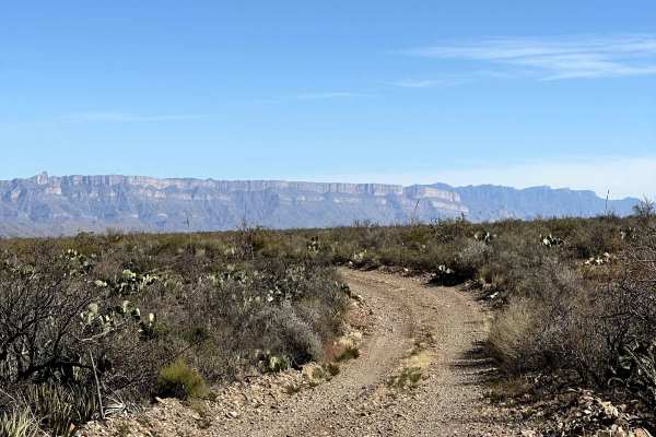 Lone Mountain Trail