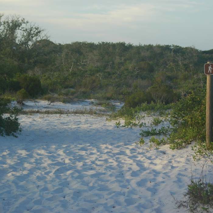 Pine Beach Trail where it leaves the road and heads through the dunes. Near Pine Beach Trail