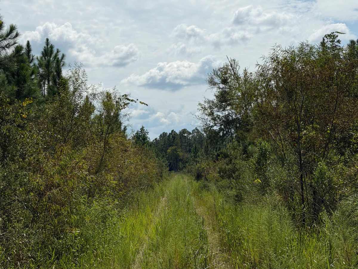 FS 291-I photo 4