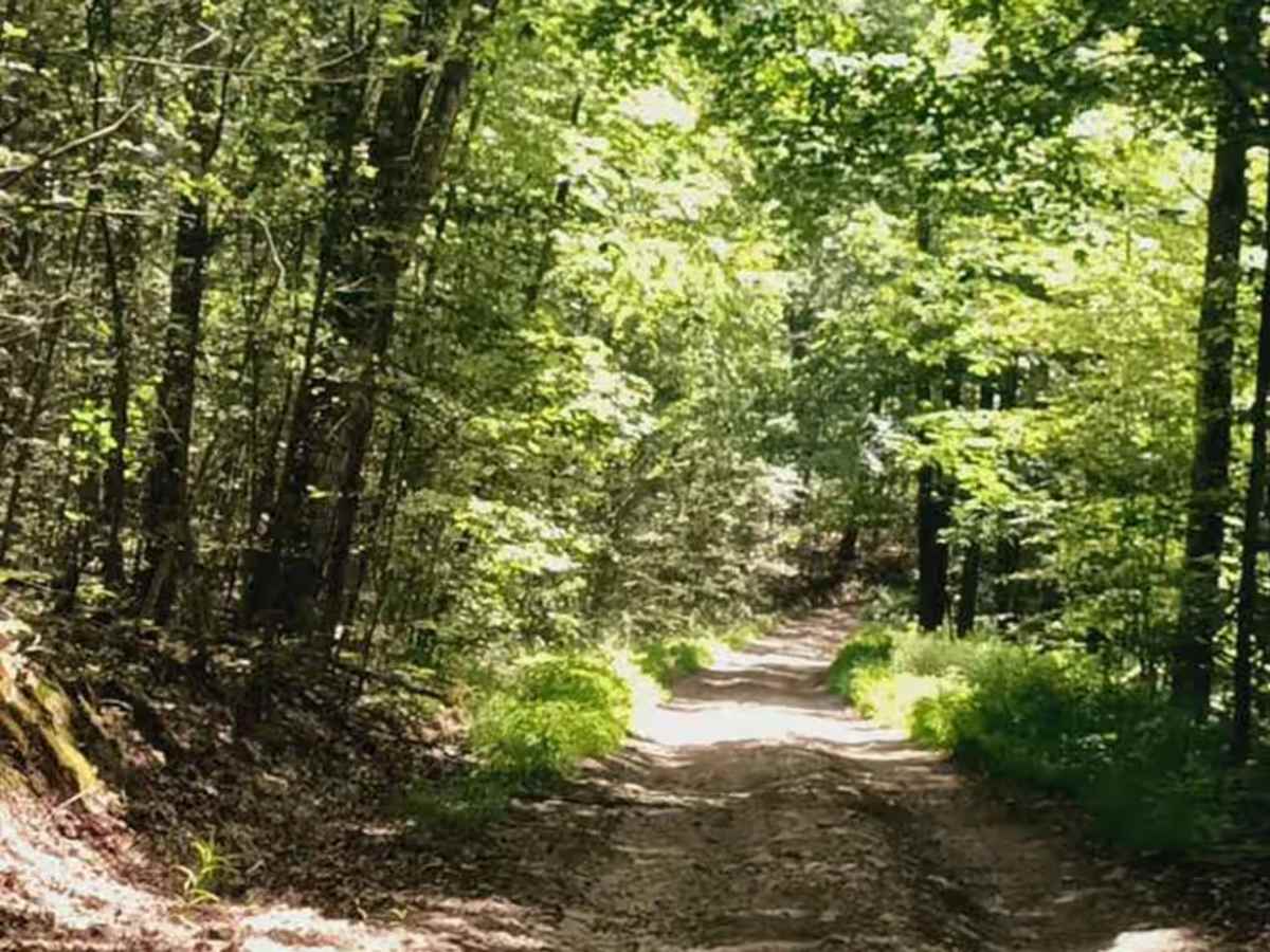 Beam Hill Road photo 2