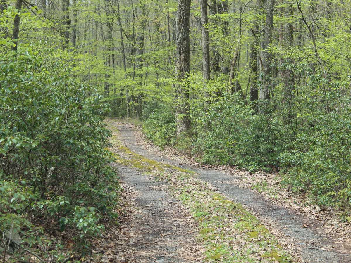 Kratzer Road photo 6