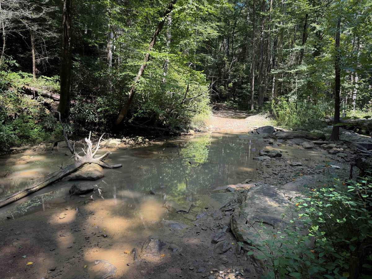 Pond Ridge  trail photo