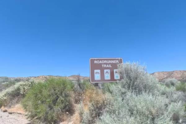 Powerline Road