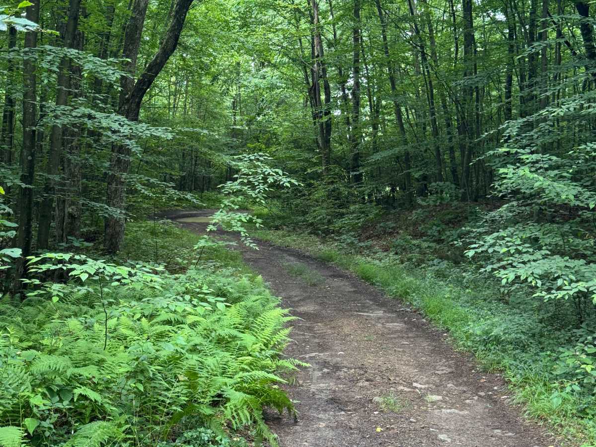 Trail 12 photo 2