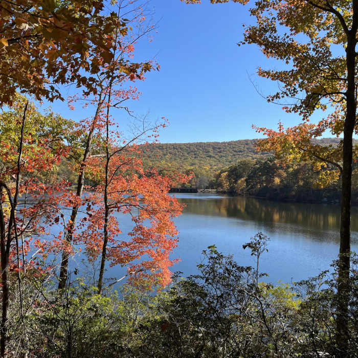 Near Tuxedo - Mt. Ivy Trail