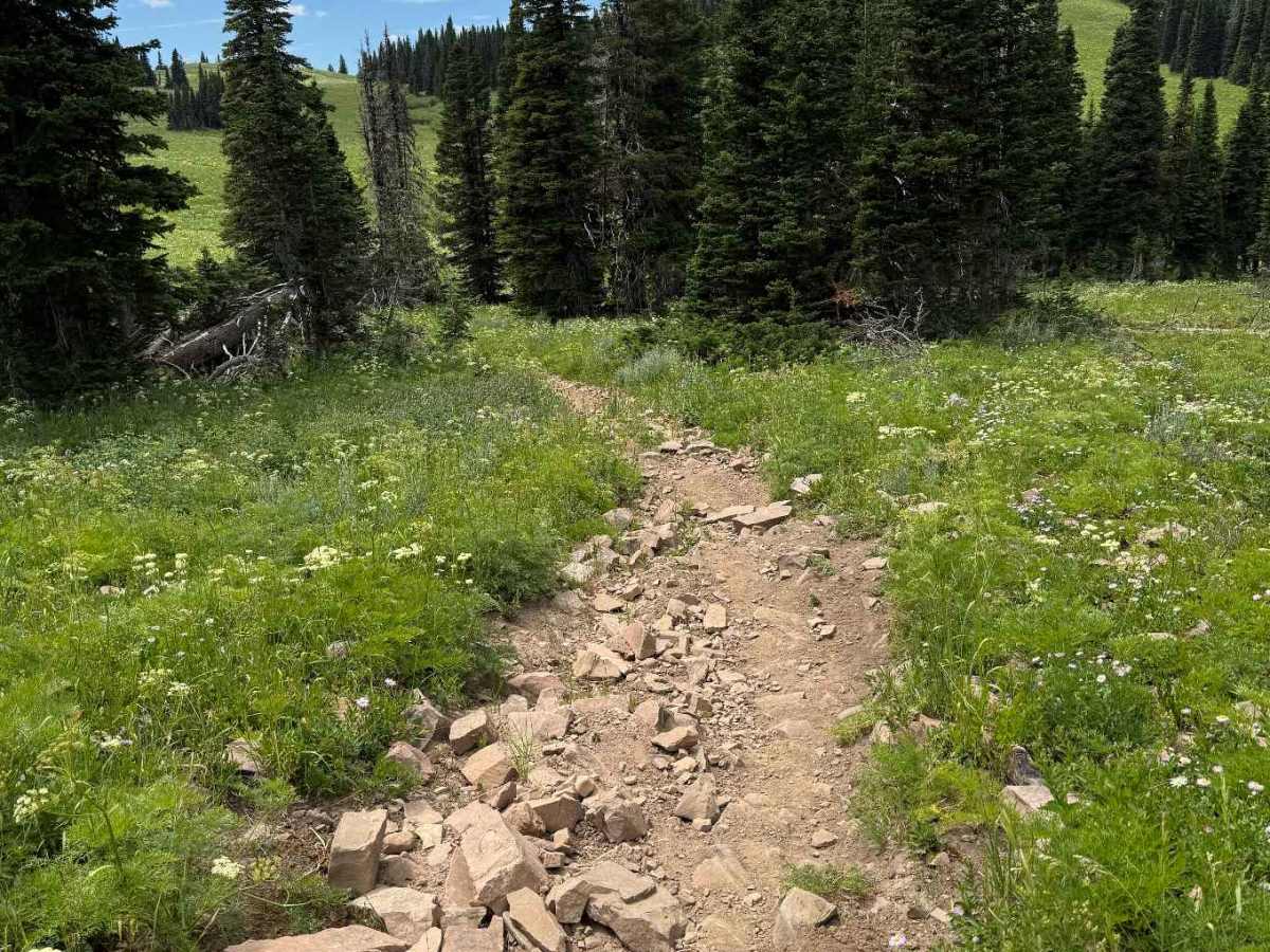 Garnes Mountain photo 2