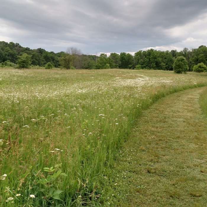 The western most loop of the Coyote Run Trail, with an ever ecstatic girlfriend. Near Highbanks Metro Park