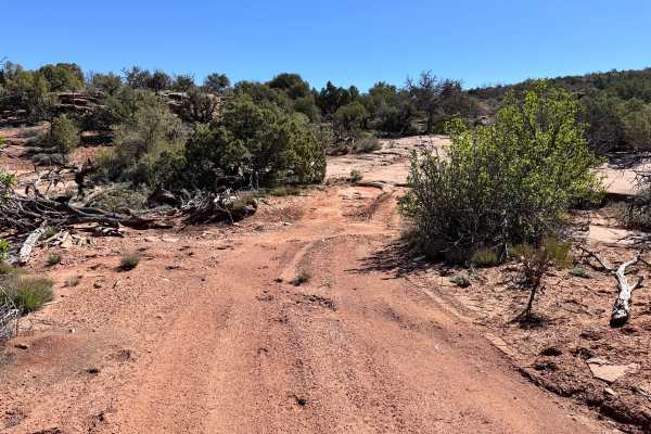Dome Plateau - BLM 2118