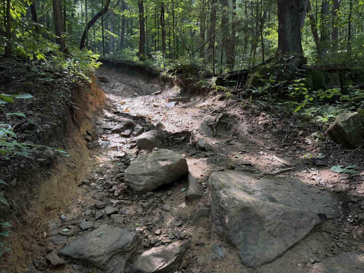 Long Haul Hollow Trail 31  photo 2
