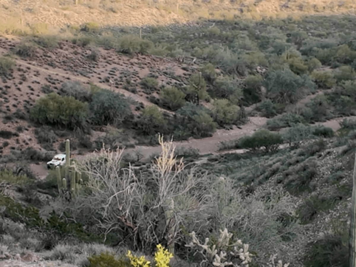 Fence Line Drop In  photo 6