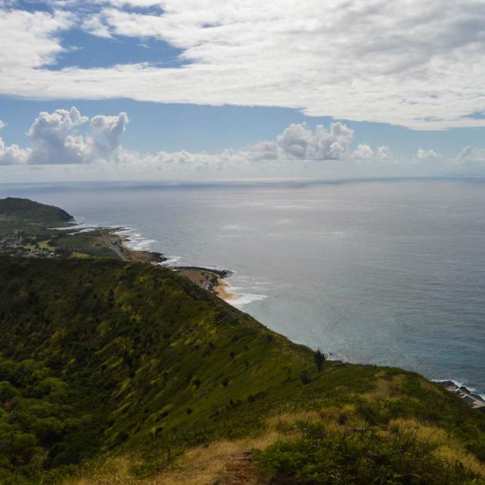 Near Koko Crater Rim Trail Near Koko Crater Rim Trail