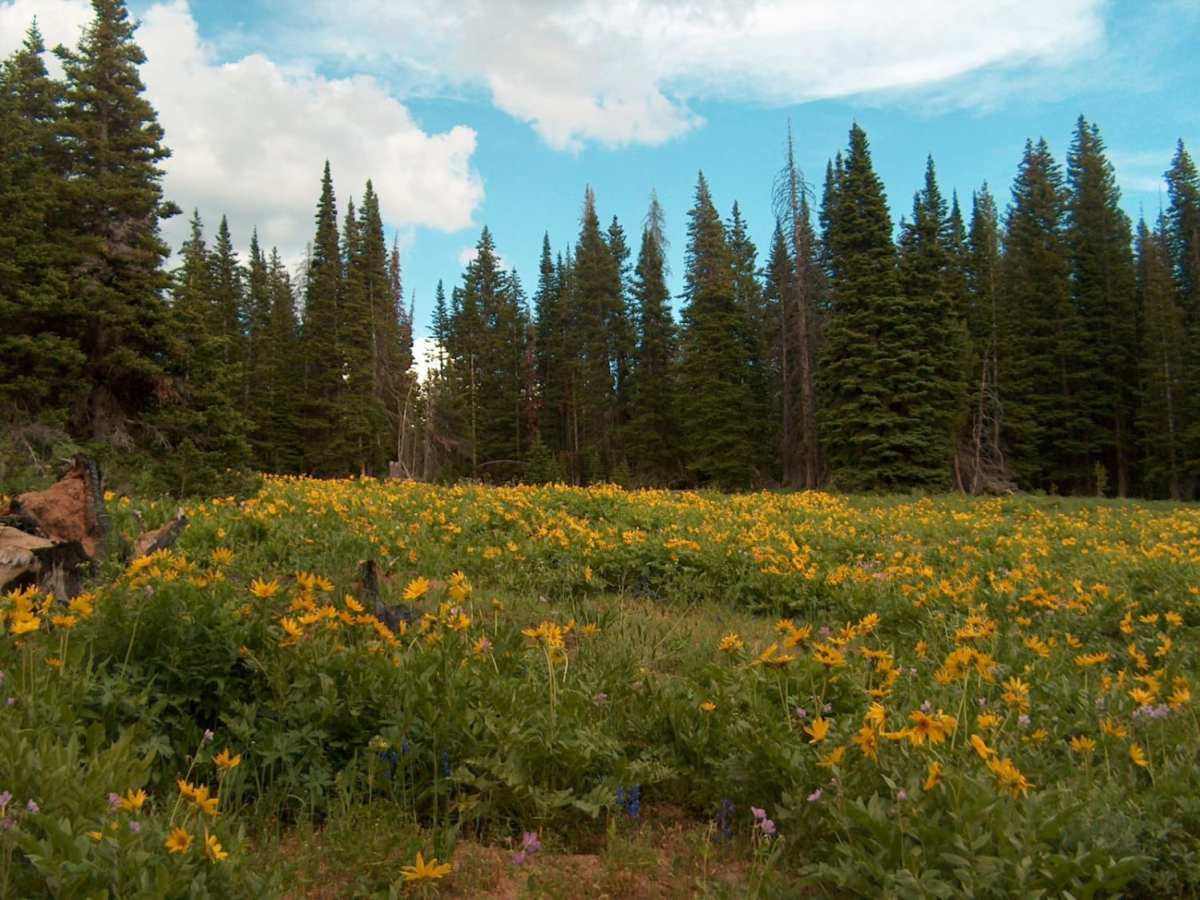 Big Spring Scenic Backway photo 2