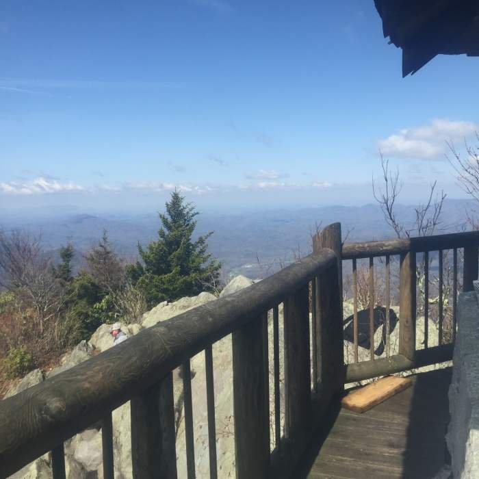 Near Mount Cammerer Trail