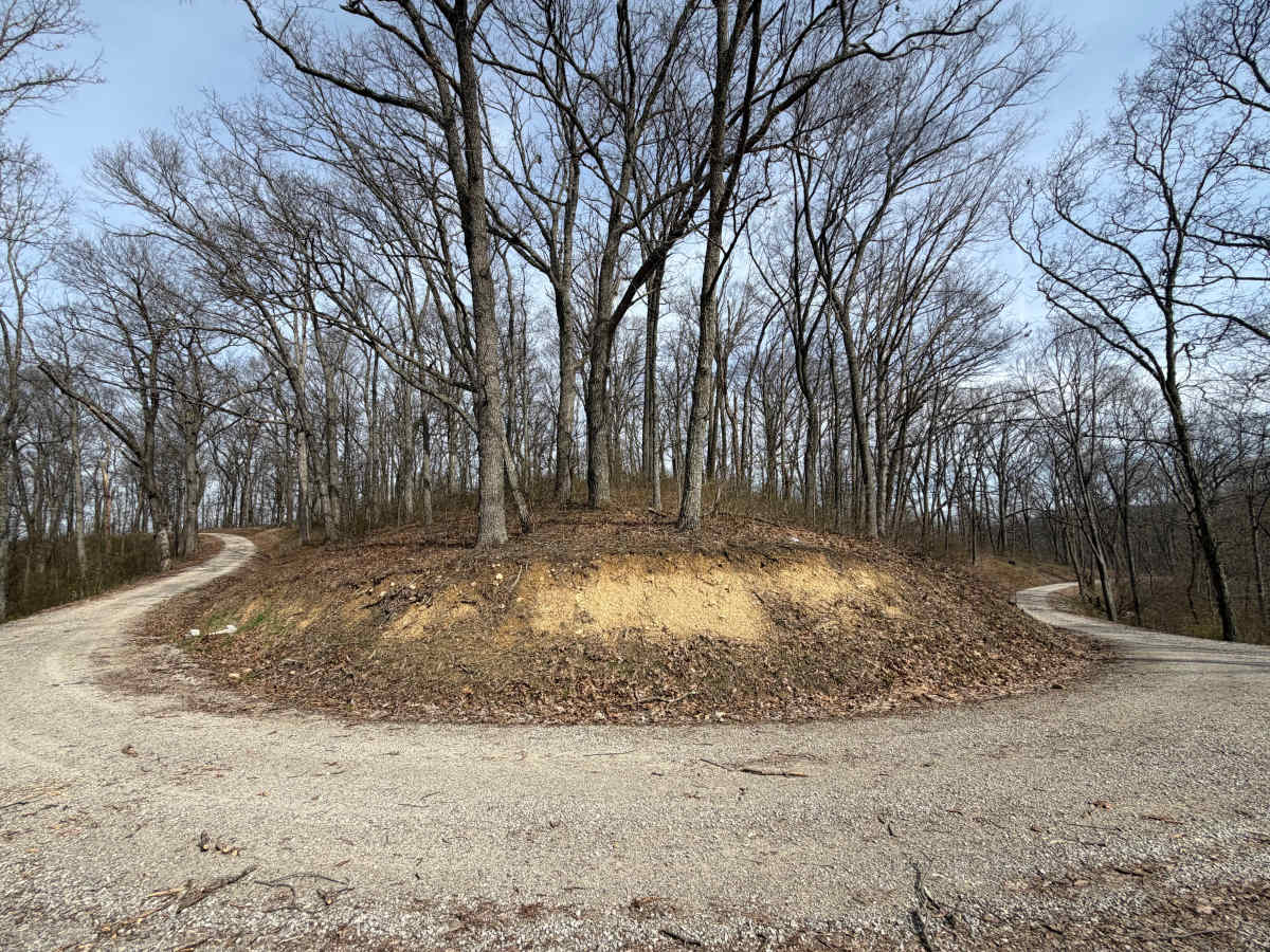 South Ridge Road photo 6