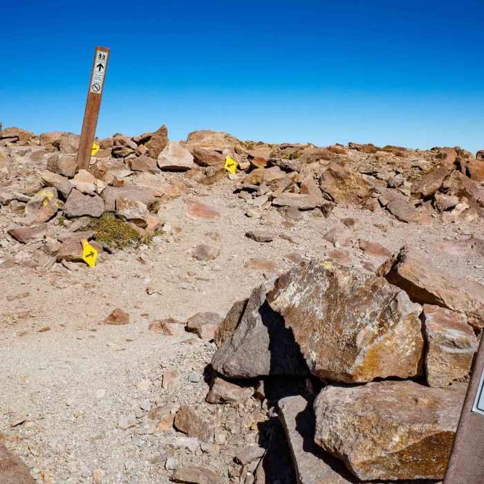 Near Mammoth Mountain Trail