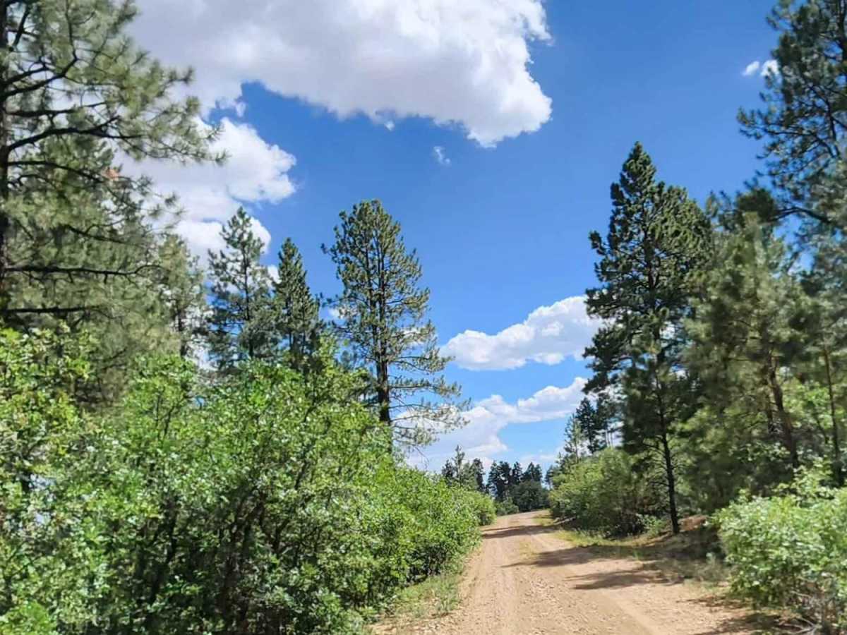 Ferris Road photo 6