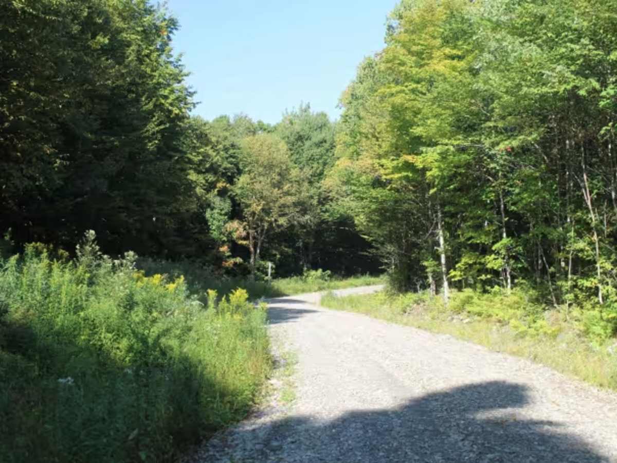 Beaman Hill Trail trail photo