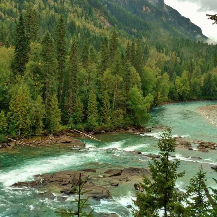 Near Overlander Falls Trail