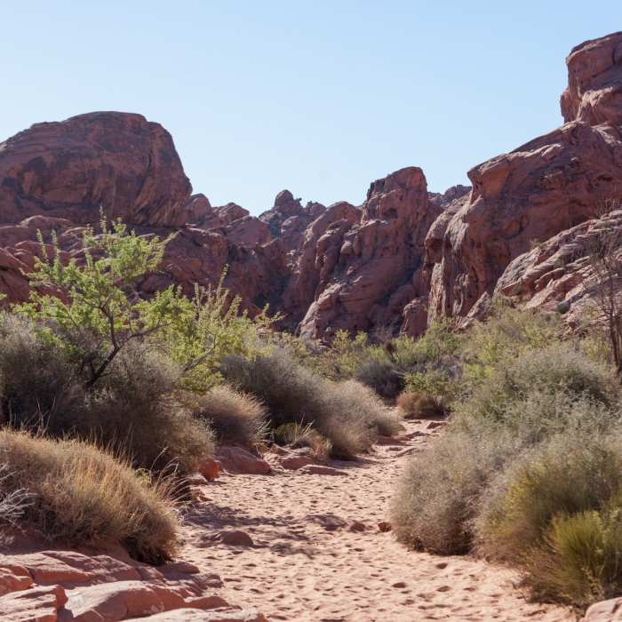 Near Mouse's Tank Trail