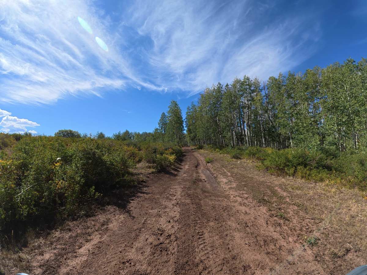 U C Creek Road photo 6