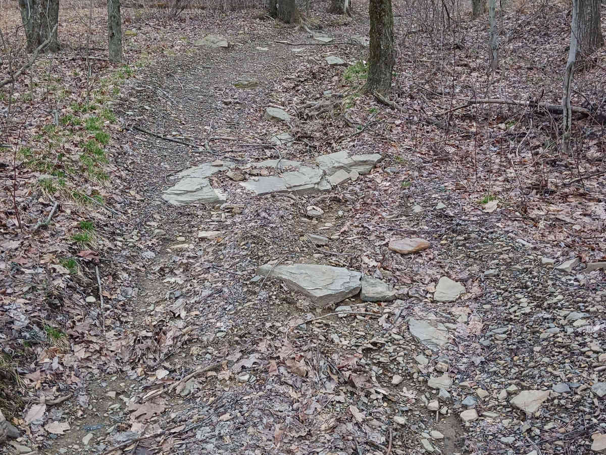 Trail 4A - Rock Run Recreation Area trail photo