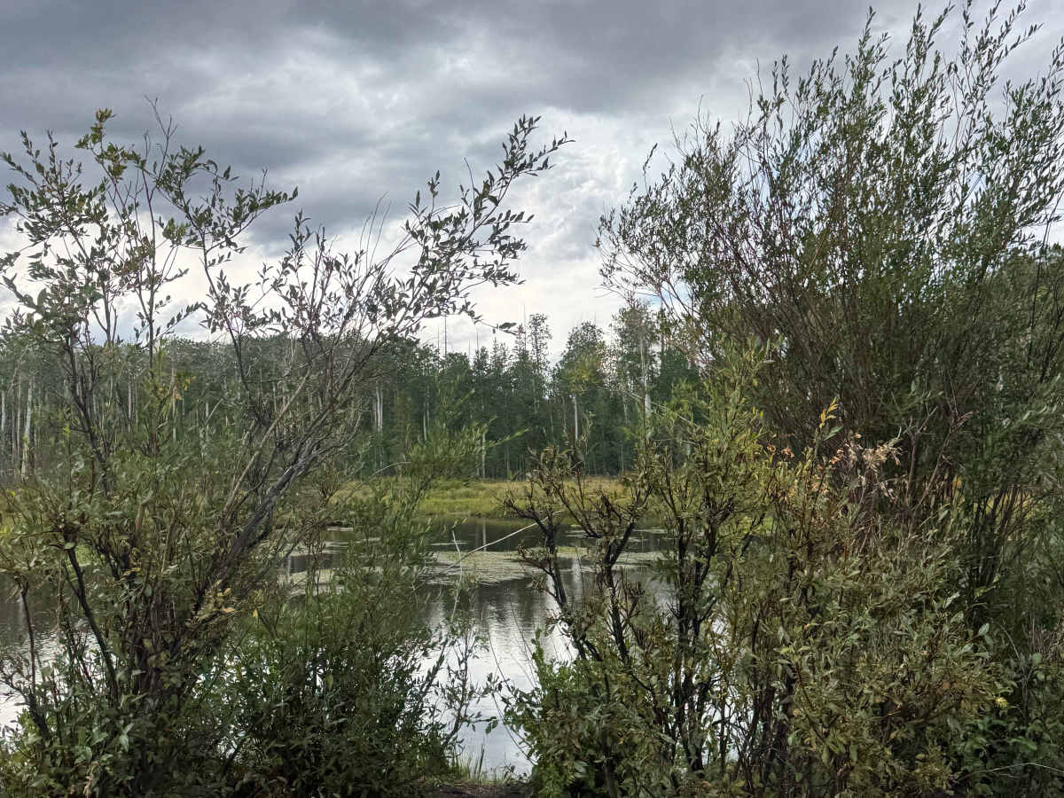 Beaver Dam photo 5