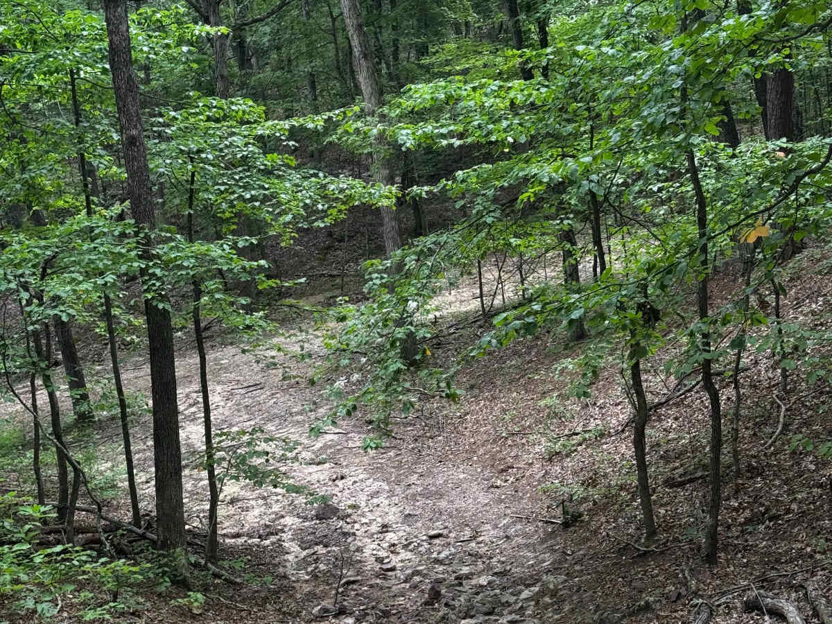 Finn's Muff trail photo
