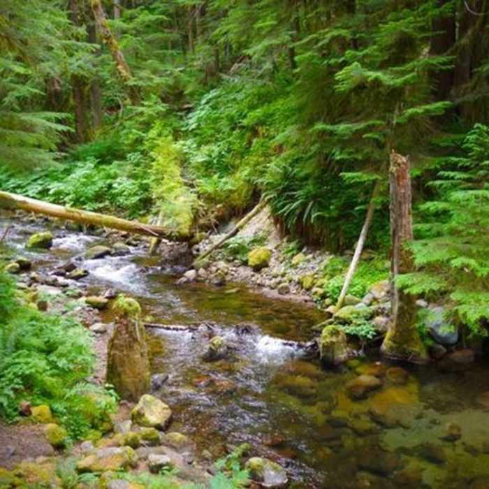 Near Lost Creek Nature Trail #776