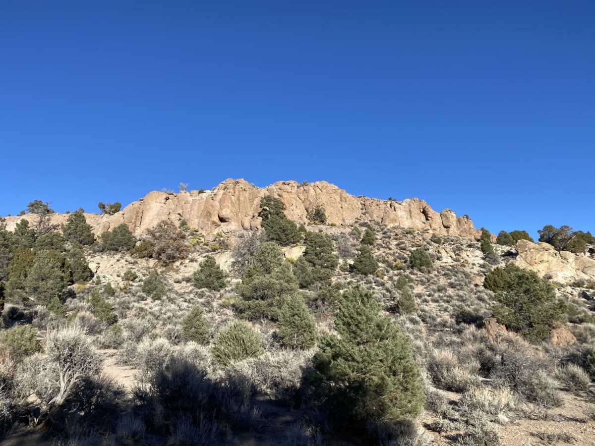 Adventure Through the Hills to West Valley trail photo