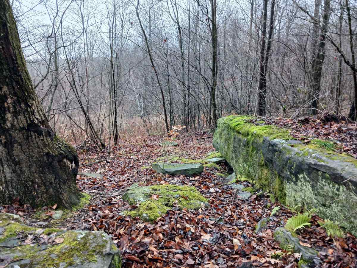 OHV 32 - Rock Run Recreation Area photo 4