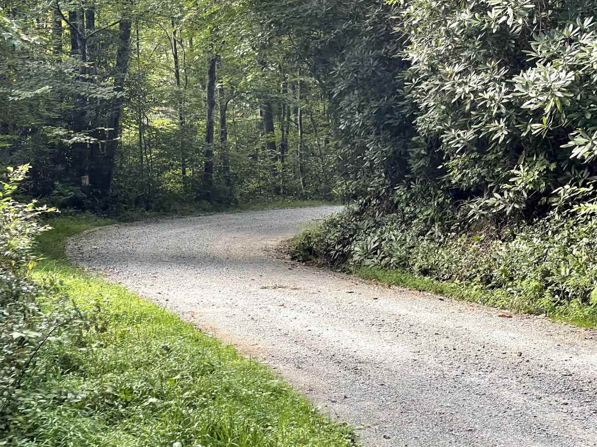 Clarence Newton Road photo 5