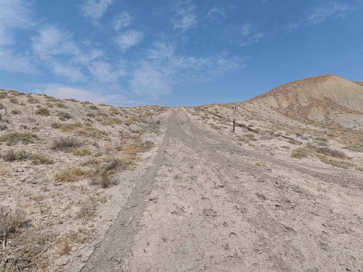 BLM 114A photo 2