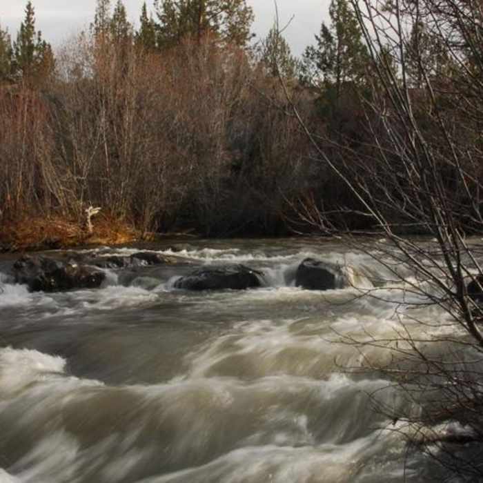 Near Lower Whychus Creek Trail
