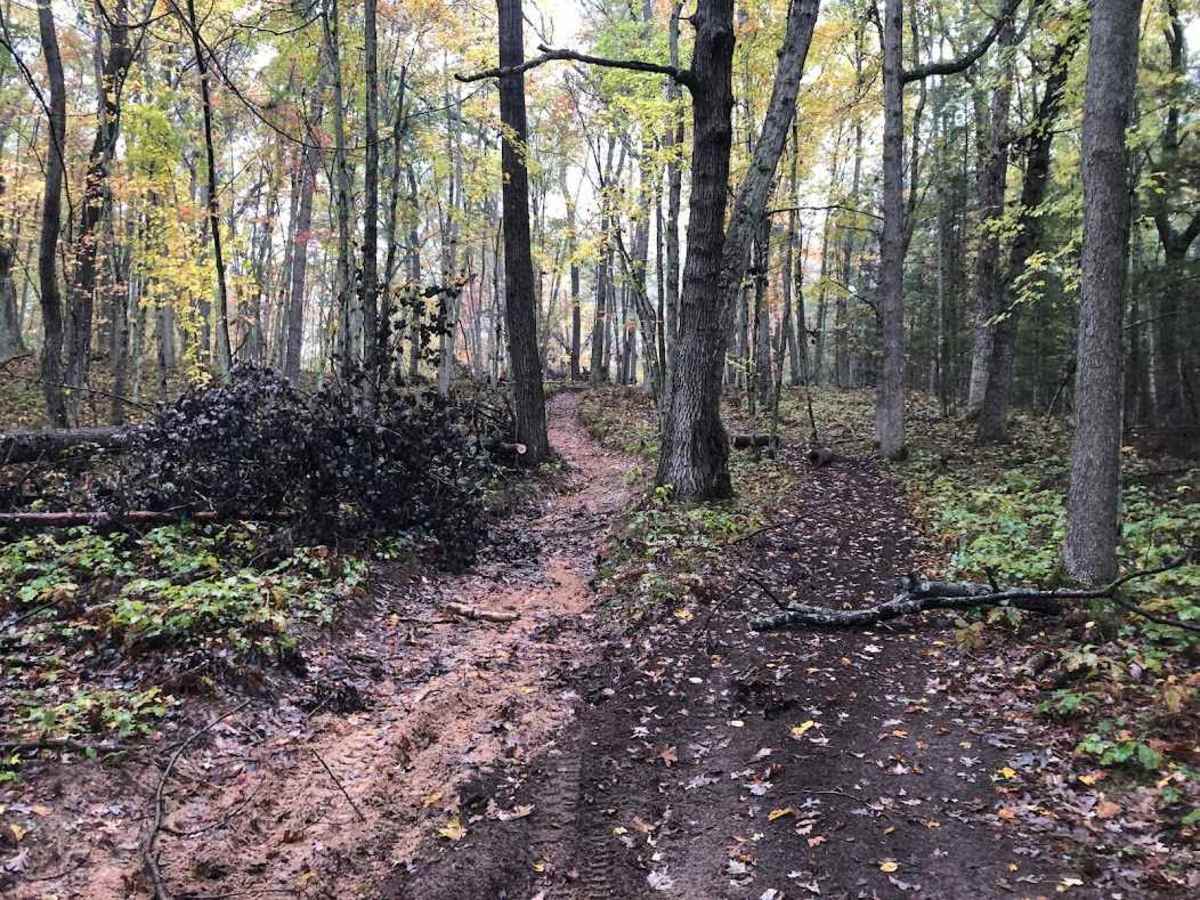 Little "O" Motorsport Trail photo 3