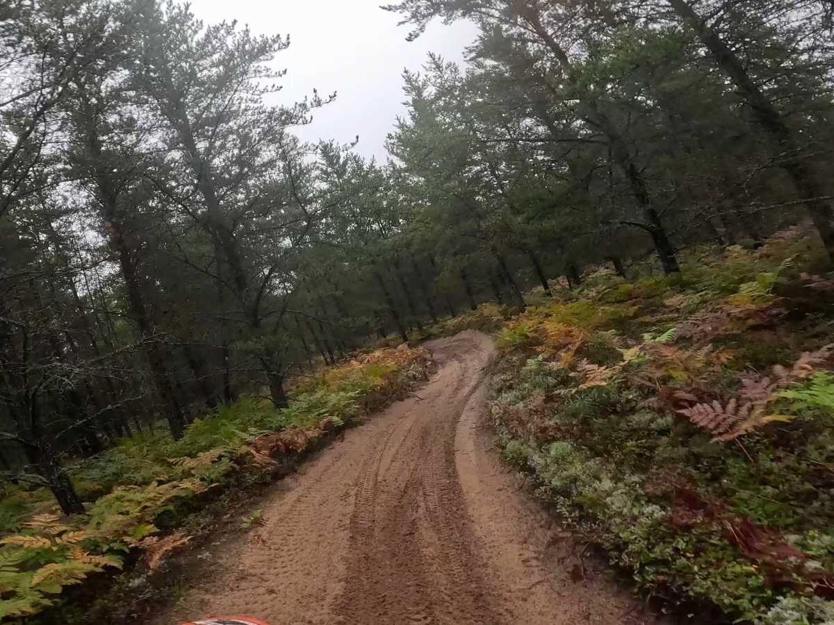 Two Hearted Trail  Connector photo 5