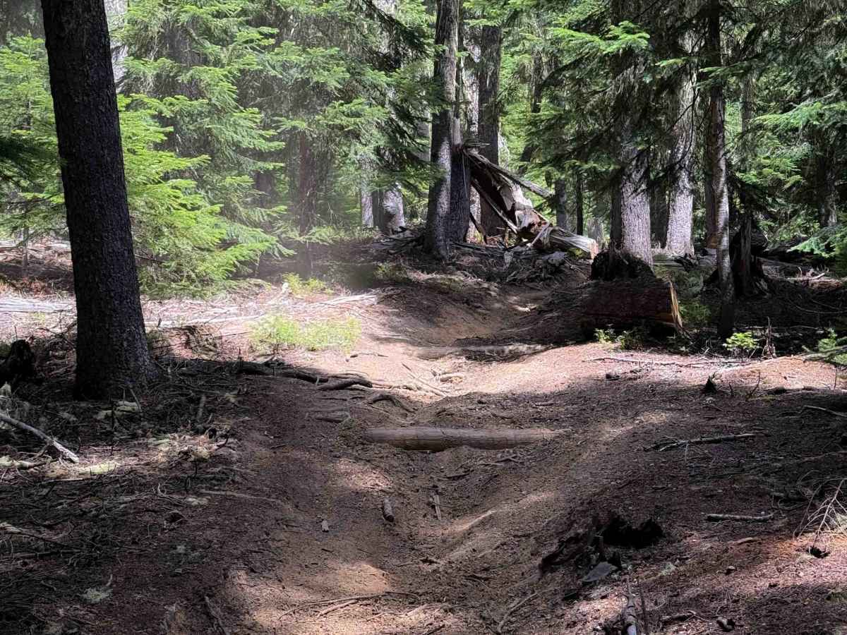 Start O Willamette Trail   photo 6