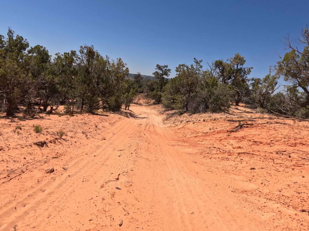 BLM 33B photo 5