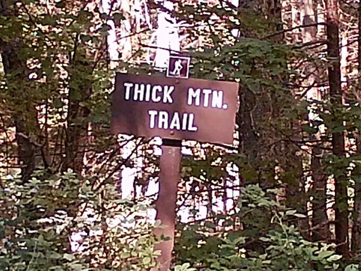 Swift Run Road photo 5