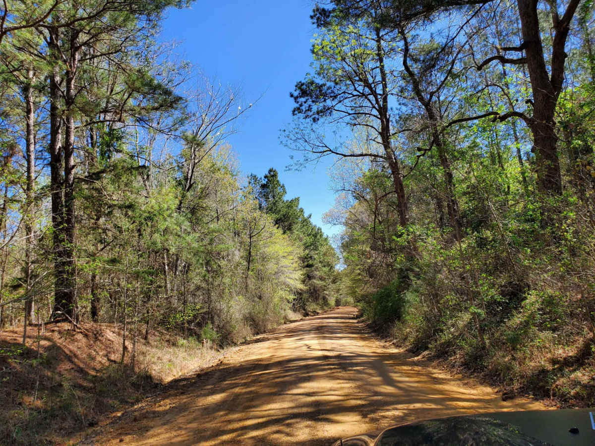 The Arkansas Overland Route - Section 2 - Highway 371 to Road 113 photo 2