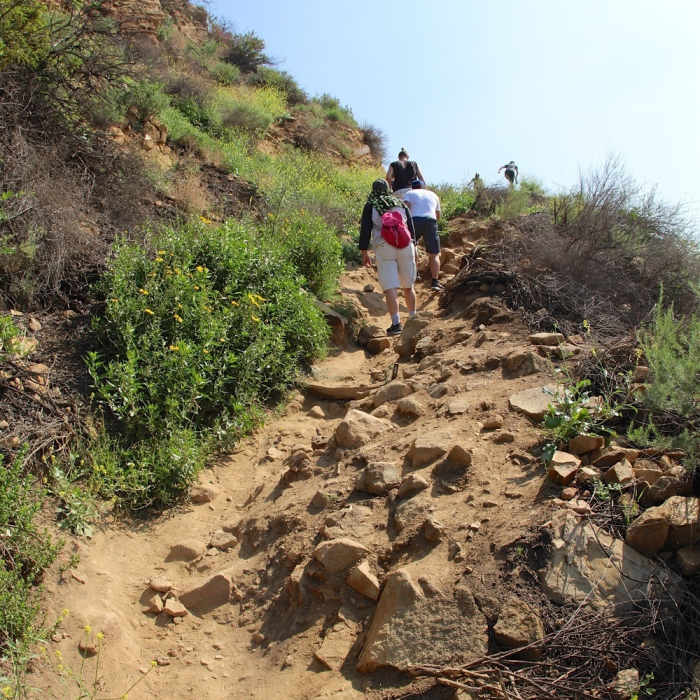 Near Tree of Life Trail