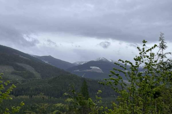 3 Valley Mabel Lake FSR Road to Kingfisher