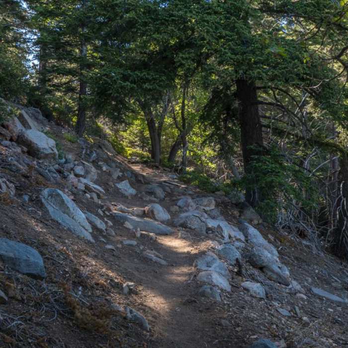 Near San Bernadino Peak via Angelus Oak