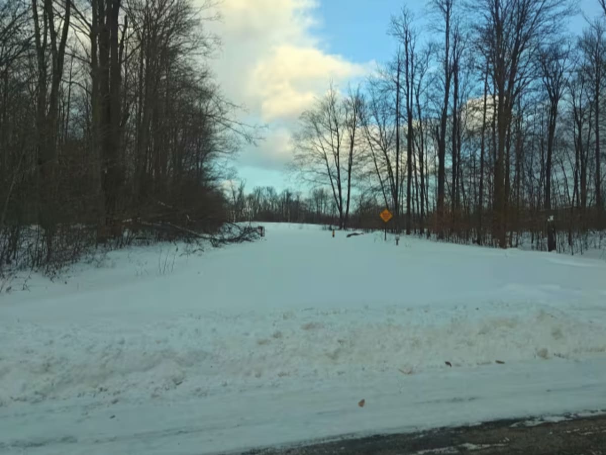Log Run - FS 591 photo 2
