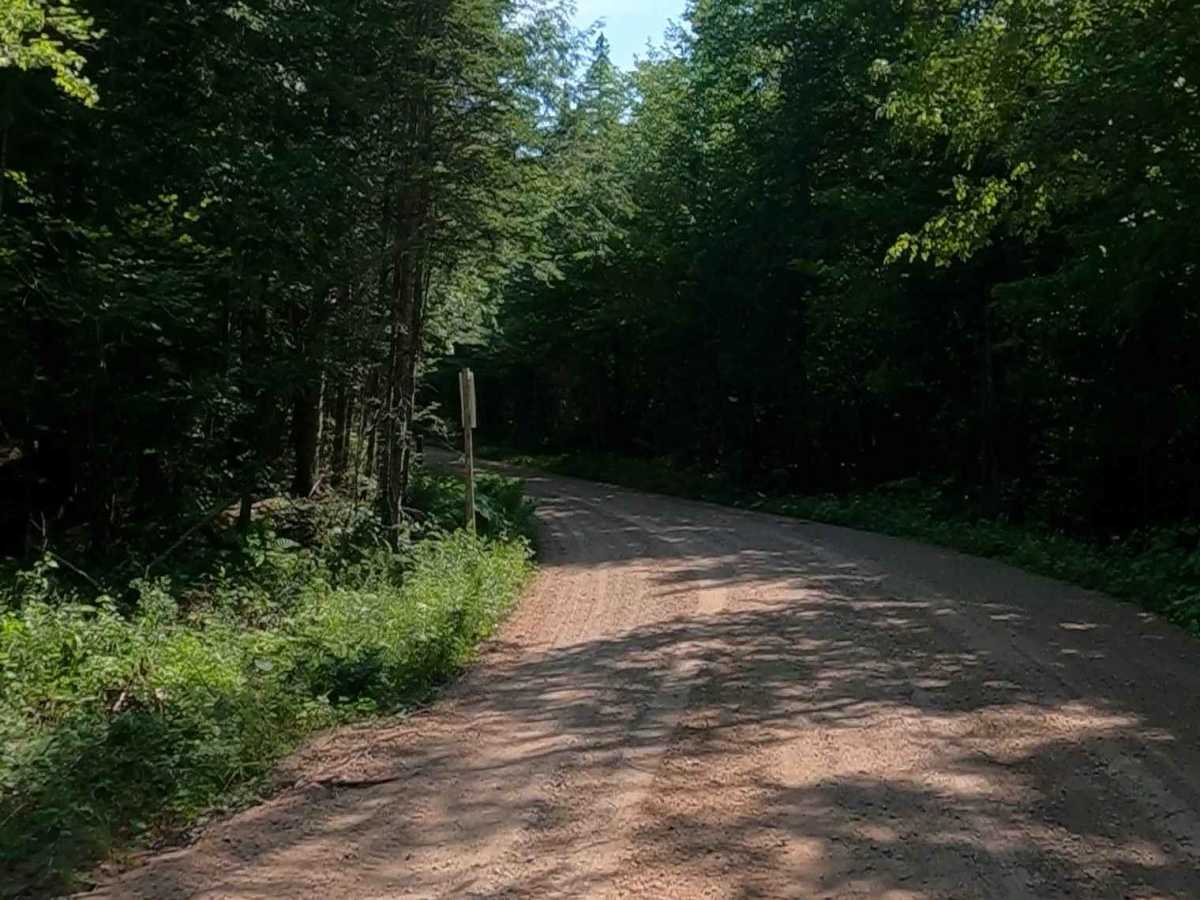 Buck Bay Road - FSR 2272 photo 5