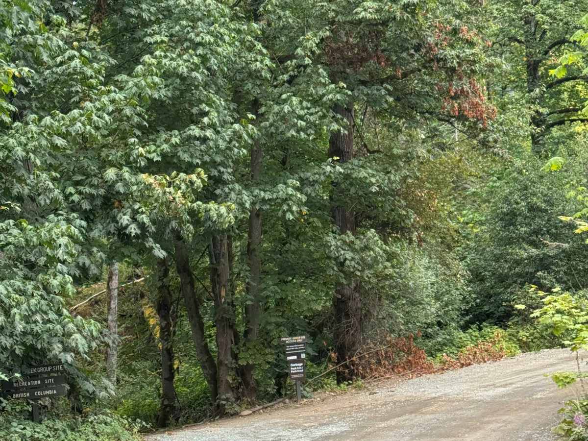 Weaver Lake - 1500 photo 3